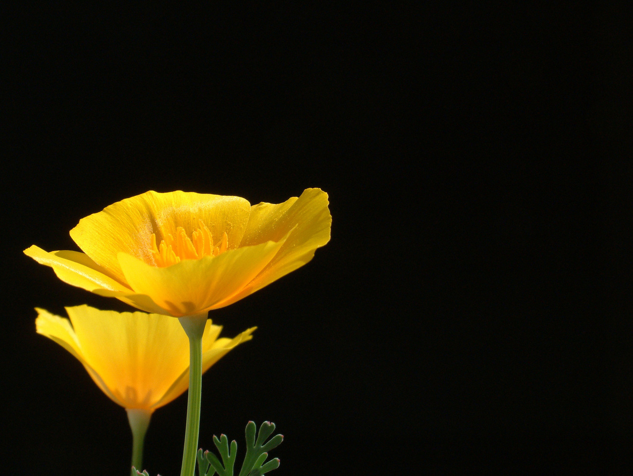 When You Truly Live Your Life