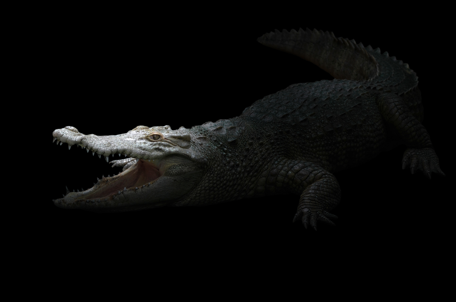 Confidence and Competence