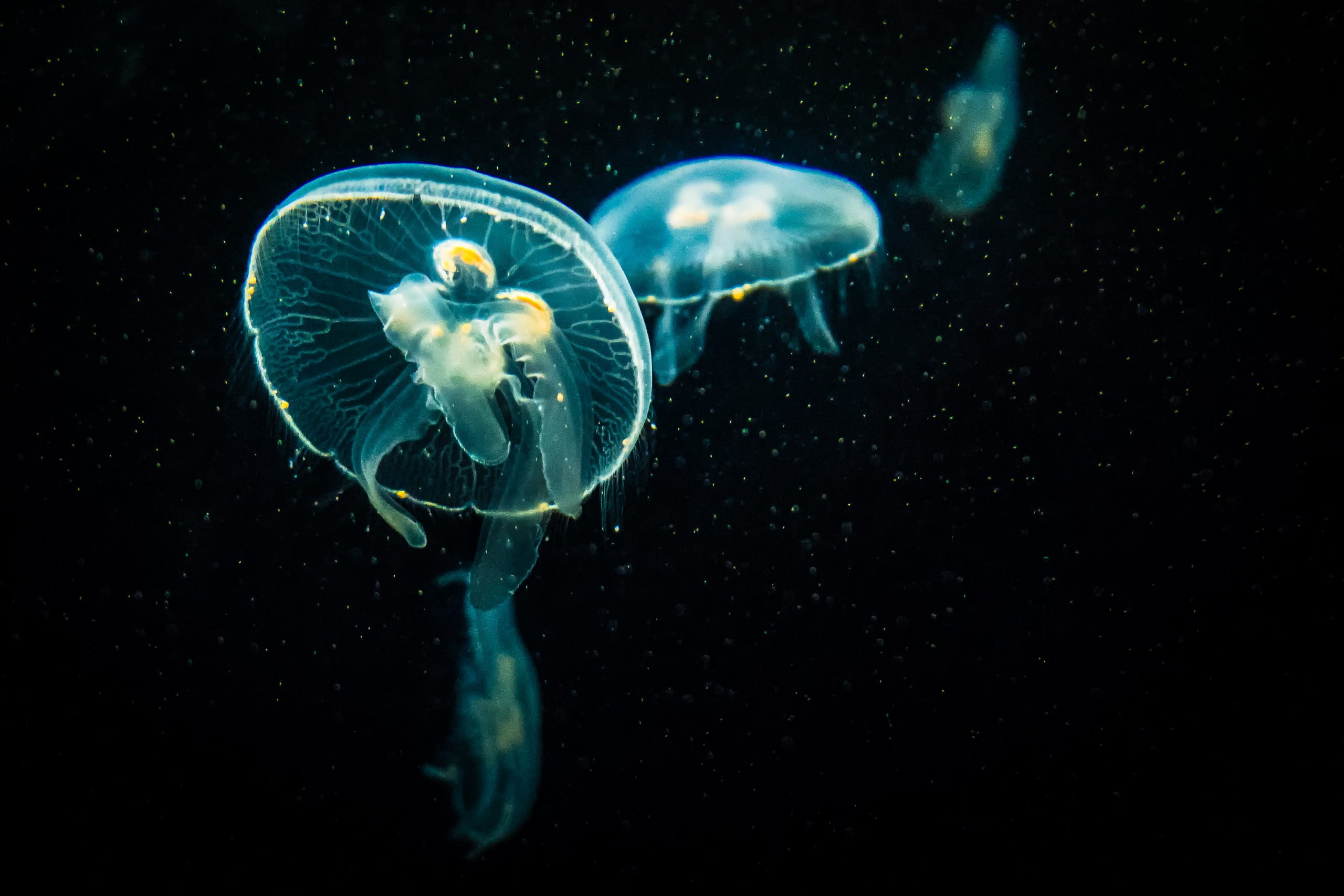 Maintain Your Momentum